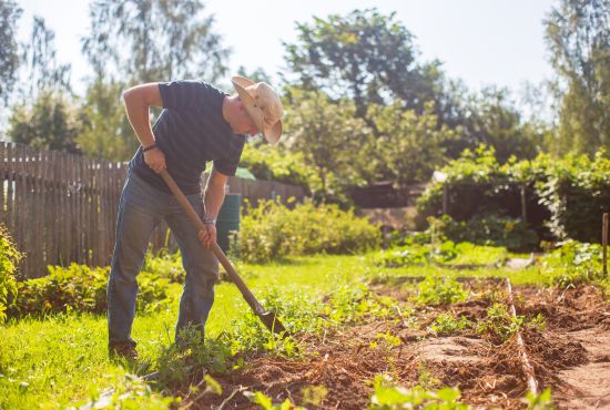un homme entrain de faire du jardinage