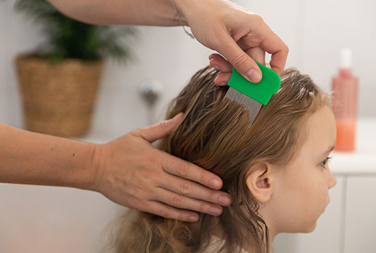 traitement des poux sur une fille