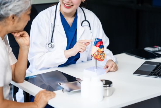 Cardiologue utilisant une maquette de cœur pour expliquer la bradycardie et les troubles du rythme cardiaque à une patiente senior.