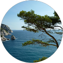 Michèle Suraci profile picture