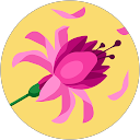 Halima profile picture