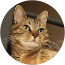 Fabienne Dubois profile picture